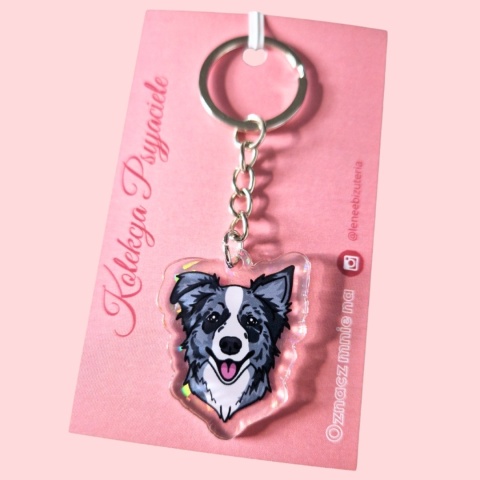 LENEE Brelok - Border Collie merle