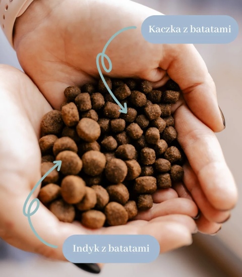 Perro - Kaczka z batatmi dla psów dorosłych małych ras 3kg