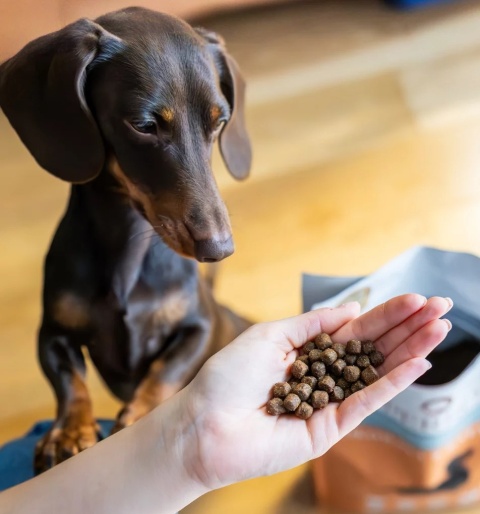 Perro - Wołowina z batatmi dla psów dorosłych małych ras 3kg