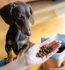 Perro - Wołowina z batatmi dla psów dorosłych małych ras 1kg