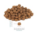 Perro - Wołowina z jagnięciną dla psów dorosłych średnich i dużych ras 12kg
