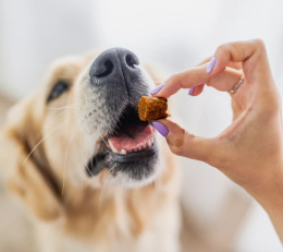 Perro - BON BON Królik - siła czystka Przysmaki z dodatkiem funkcyjnym 80g