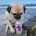 SmoothieDog Sensitivo - smoothie dla psa z alergią pokarmową konina 250ml