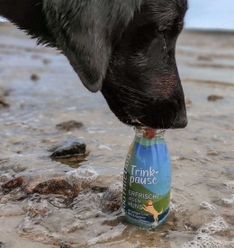 SmoothieDog - smoothie dla psa kaczka z warzywami 250ml