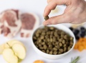 YDOLO Iberico - wieprzowina Iberico - karma półwilgotna dla psa 100g