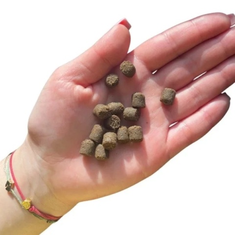 Farma - Hipoalergiczna karma tłoczona na zimno - Jagnięcina 2kg