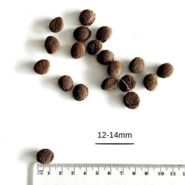Farma - Hipoalergiczna karma tłoczona na zimno - Królik dla szczeniąt 2kg