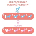 MISOKO - Wielorazowa pielucha dla suczek - PSZCZOŁY roz. XL