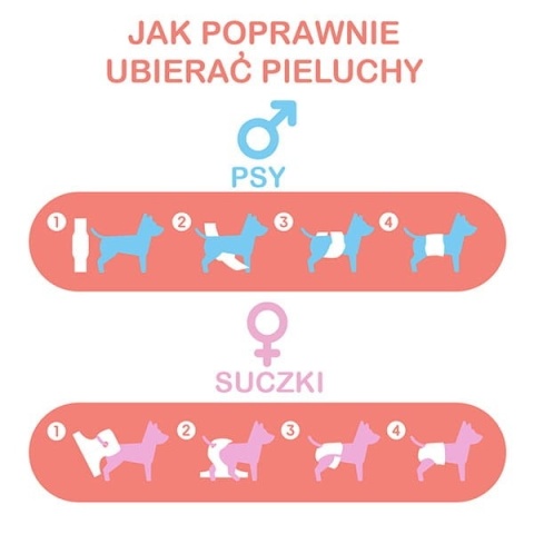 MISOKO - Wielorazowa pielucha dla suczek - PSZCZOŁY roz. XL