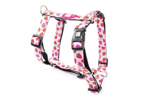 Max&Molly H-Harness Strawberry Dream - Szelki dla psa regulowane - M