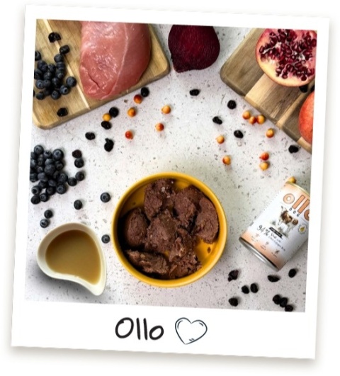 Ollo Plus Kolagen Cielęcina - Karma mokra dla psa 800g