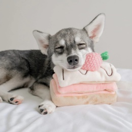 Pups & Bubs STRAWBERRY MILLE-FEUILLE - Zabawka węchowa Truskawkowy Torcik